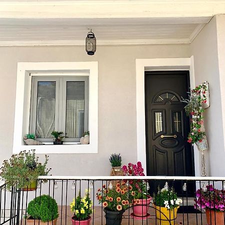 Leo'S City Apartment Lefkada City Bagian luar foto